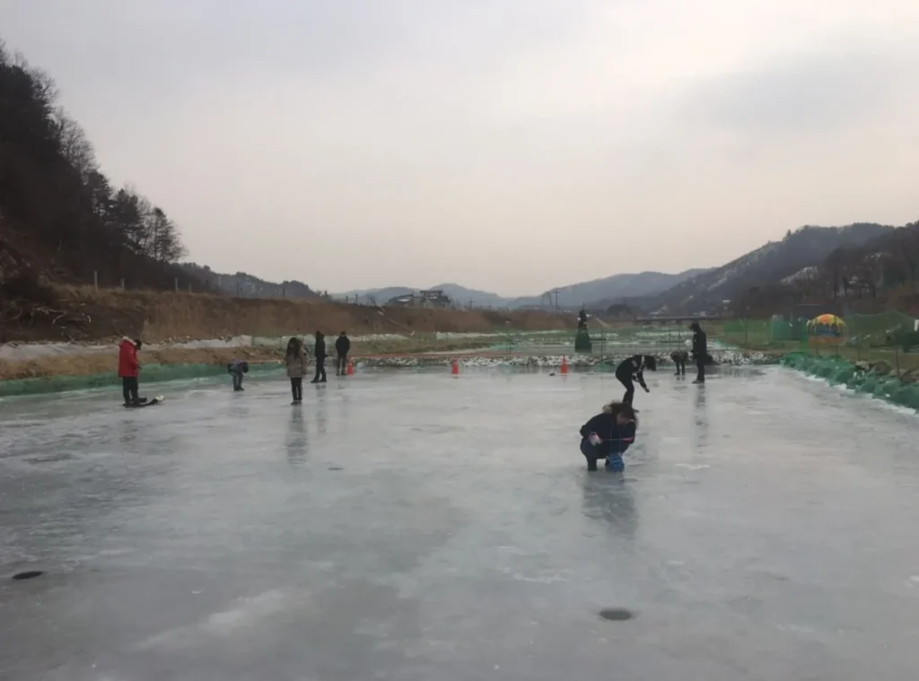 송어 축제